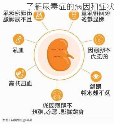 了解尿毒症的病因和症状