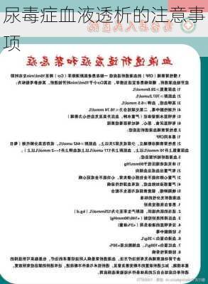 尿毒症血液透析的注意事项