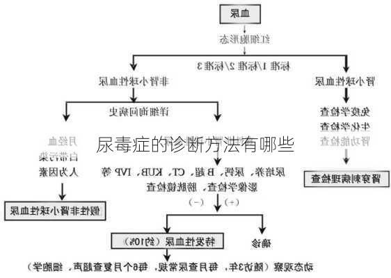 尿毒症的诊断方法有哪些
