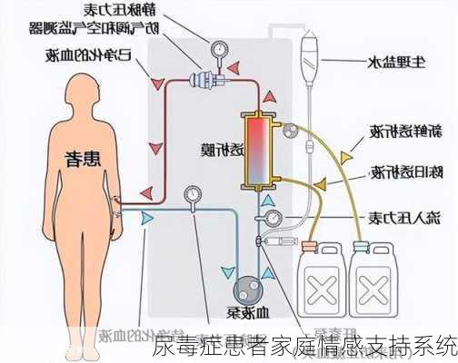 尿毒症患者家庭情感支持系统