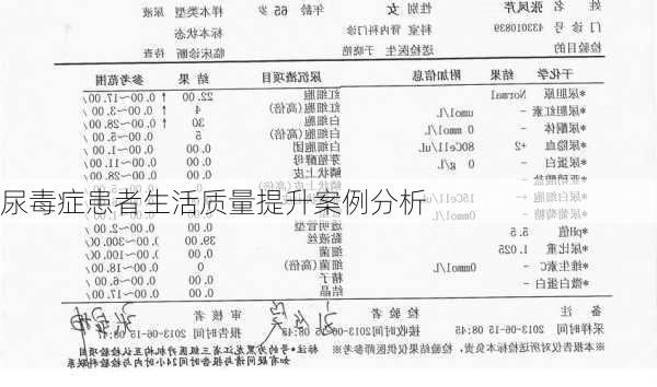 尿毒症患者生活质量提升案例分析