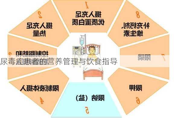 尿毒症患者的营养管理与饮食指导