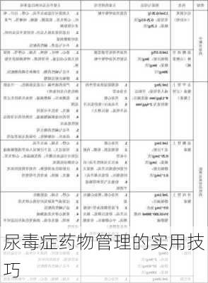 尿毒症药物管理的实用技巧