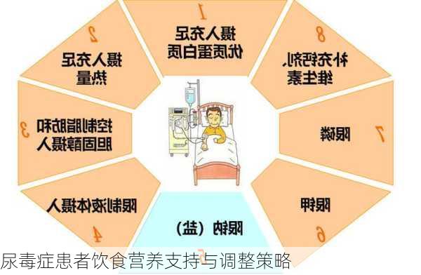 尿毒症患者饮食营养支持与调整策略