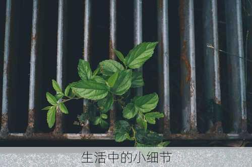生活中的小细节