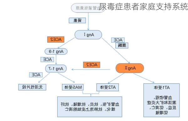 尿毒症患者家庭支持系统