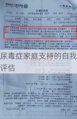 尿毒症家庭支持的自我评估