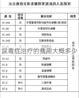 尿毒症治疗的费用大概多少