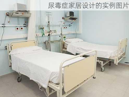 尿毒症家居设计的实例图片