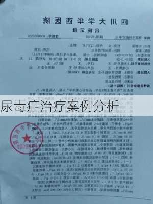 尿毒症治疗案例分析