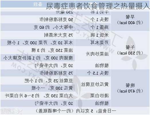 尿毒症患者饮食管理之热量摄入