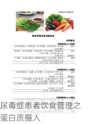 尿毒症患者饮食管理之蛋白质摄入