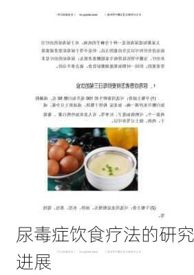尿毒症饮食疗法的研究进展