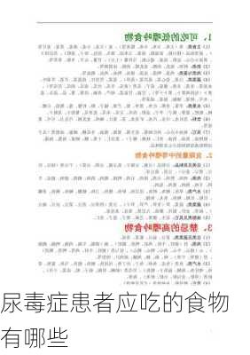 尿毒症患者应吃的食物有哪些
