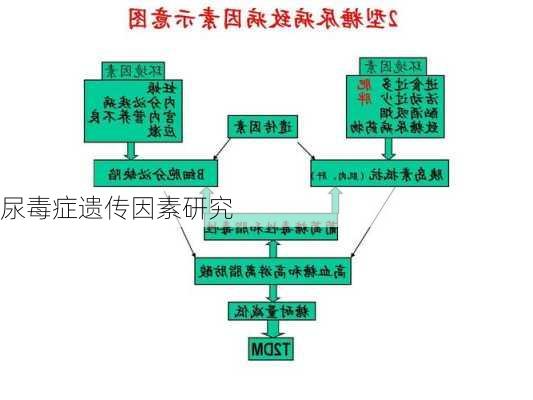 尿毒症遗传因素研究