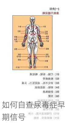 如何自查尿毒症早期信号