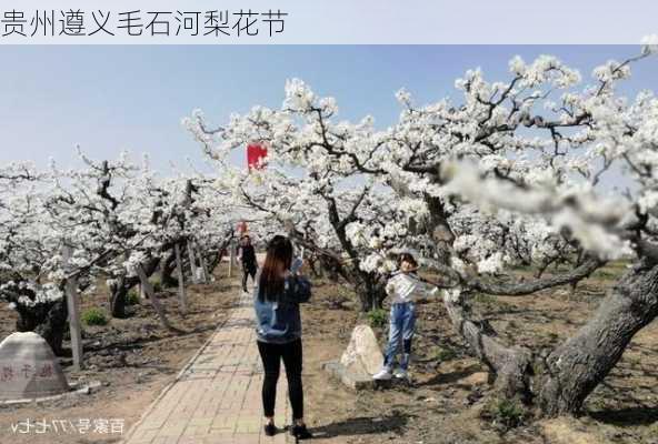 贵州遵义毛石河梨花节