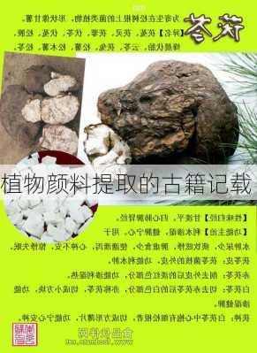 植物颜料提取的古籍记载