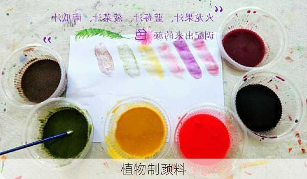 植物制颜料