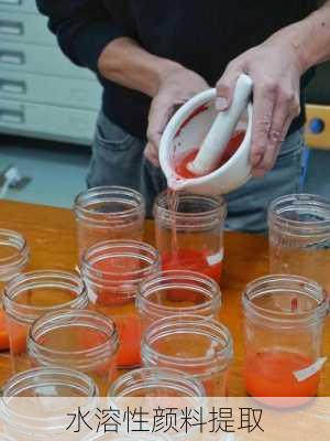 水溶性颜料提取