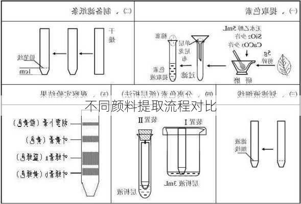 不同颜料提取流程对比