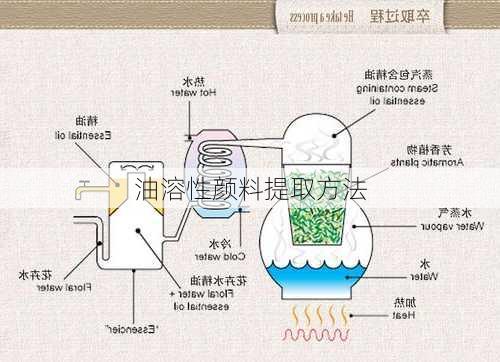 油溶性颜料提取方法