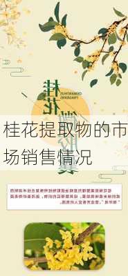 桂花提取物的市场销售情况