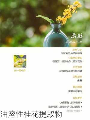 油溶性桂花提取物