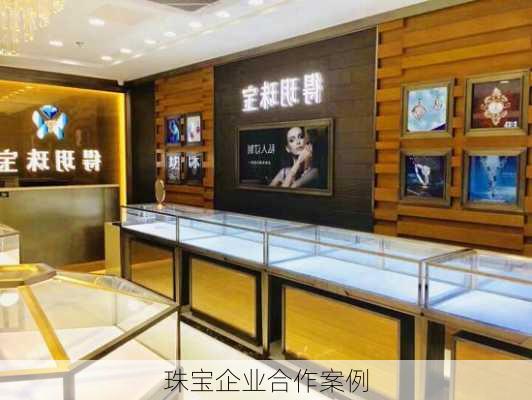 珠宝企业合作案例
