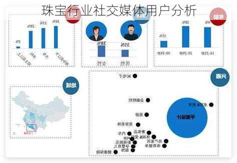 珠宝行业社交媒体用户分析