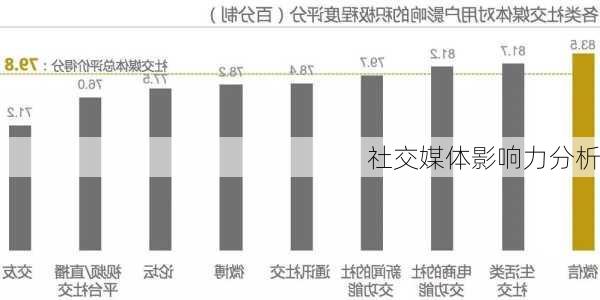 社交媒体影响力分析
