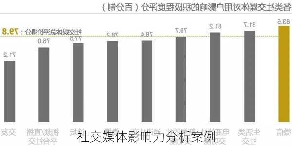 社交媒体影响力分析案例