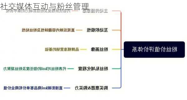 社交媒体互动与粉丝管理