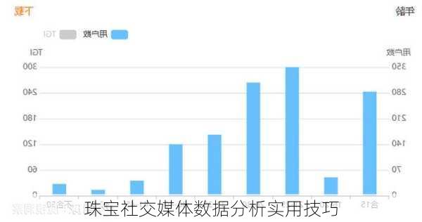 珠宝社交媒体数据分析实用技巧