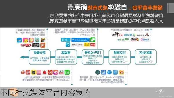 不同社交媒体平台内容策略