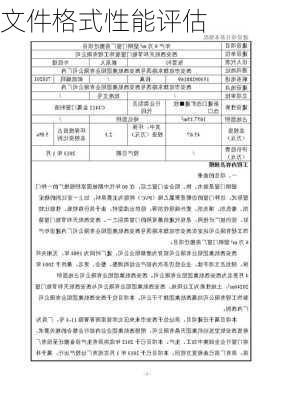 文件格式性能评估