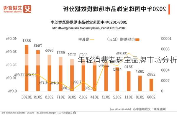 年轻消费者珠宝品牌市场分析