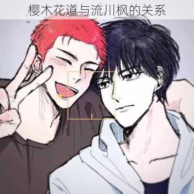 樱木花道与流川枫的关系