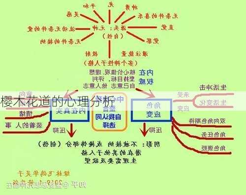 樱木花道的心理分析