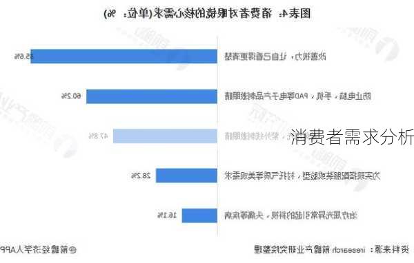 消费者需求分析