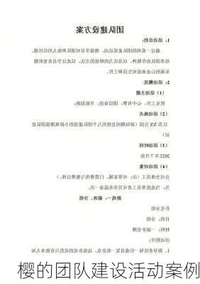 樱的团队建设活动案例