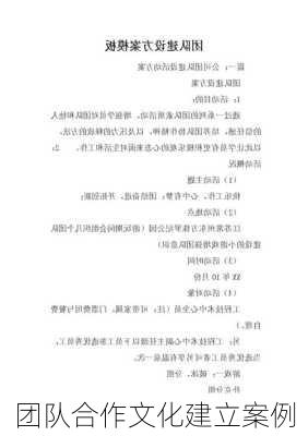 团队合作文化建立案例