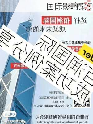 国际影响案例
