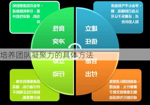 培养团队凝聚力的具体方法