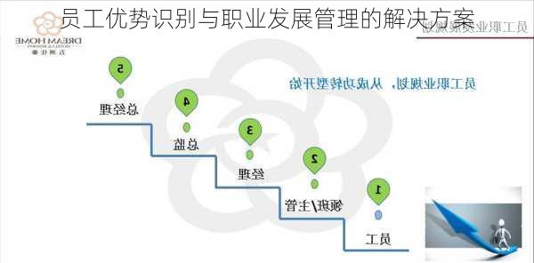 员工优势识别与职业发展管理的解决方案