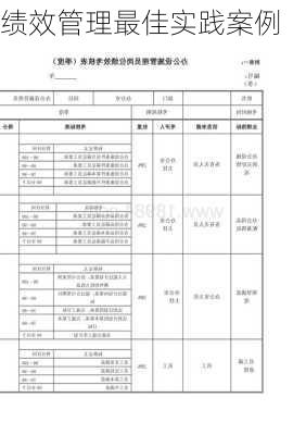 绩效管理最佳实践案例