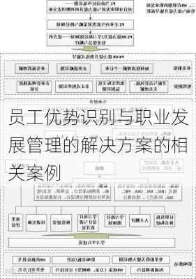 员工优势识别与职业发展管理的解决方案的相关案例