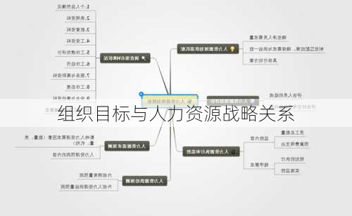 组织目标与人力资源战略关系