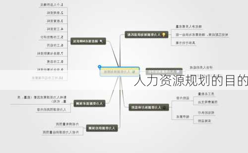 人力资源规划的目的