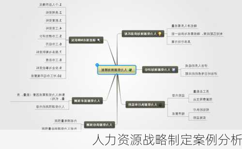 人力资源战略制定案例分析